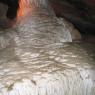 Exploring the Boyden Cave 