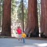 Sequoia National Forest