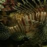 03_Basel Zoo
