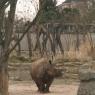03_Basel Zoo
